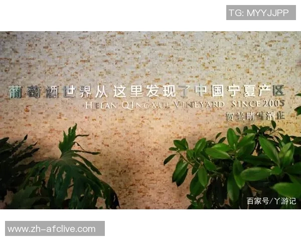 纳纳足球队的崛起之路:从默默无闻到全国瞩目的传奇之旅 纳纳足球队的崛起之路:从默默无闻到全国瞩目的传奇之旅