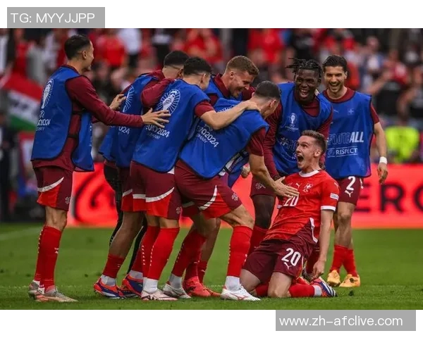 瑞士vs全球各国的文化碰撞与经济合作探讨